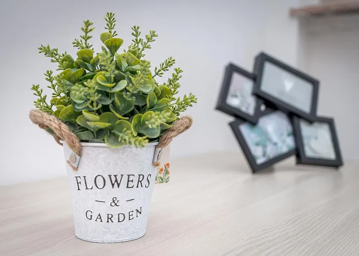 Daire Station's Bergamo